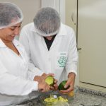 nutrição guarapuava nutrição funcional faculdade campo real