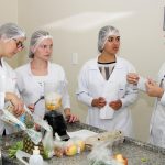 nutrição guarapuava nutrição funcional faculdade campo real