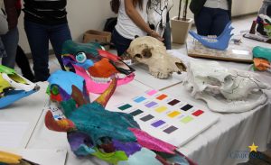 faculdade, guarapuava, medicina veterinária, campo real, exposição, osteologia