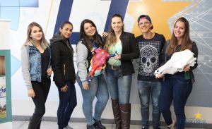 faculdade, guarapuava, medicina veterinária, campo real, exposição, osteologia