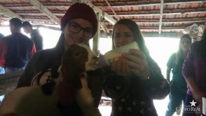 guarapuava, faculdade, campo real, medicina veterinária, aula prática, ovinocultura e caprinocultura