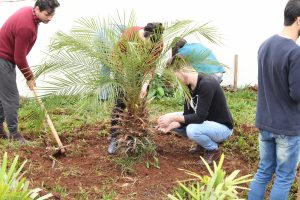 faculdade, guarapuava, campo real, campotech