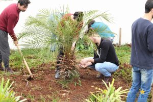 faculdade, guarapuava, campo real, campotech