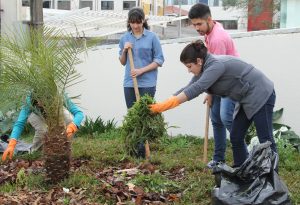 faculdade, guarapuava, campo real, campotech
