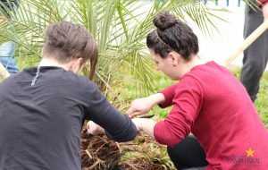 faculdade, guarapuava, campo real, campotech