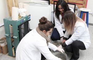 faculdade, guarapuava, campo real, econcreto, concreto, arquitetura e urbanismo, engenharia civil