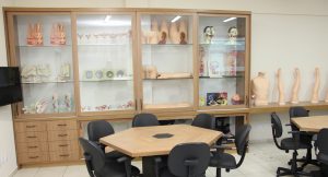 faculdade, guarapuava, medicina, campo real, centro morfofuncional, laboratório, histopatologia, morfofuncional, anatomia, saúde