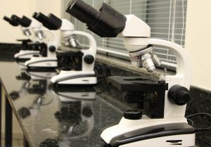 faculdade, guarapuava, medicina, campo real, centro morfofuncional, laboratório, histopatologia, morfofuncional, anatomia, saúde
