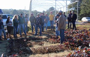 guarapuava, faculdade, campo real, engenharia agronômica, dia de campo, olericultura