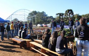 guarapuava, faculdade, campo real, engenharia agronômica, dia de campo, olericultura