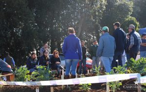 guarapuava, faculdade, campo real, engenharia agronômica, dia de campo, olericultura