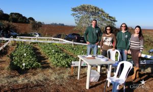 guarapuava, faculdade, campo real, engenharia agronômica, dia de campo, olericultura