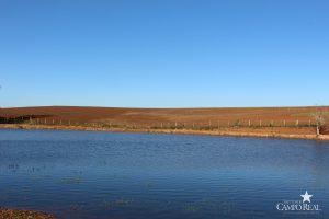 guarapuava, faculdade, campo real, engenharia agronômica, dia de campo, olericultura
