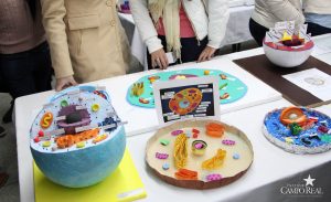 guarapuava, faculdade, campo real, exposição, célula animal, célula vegetal