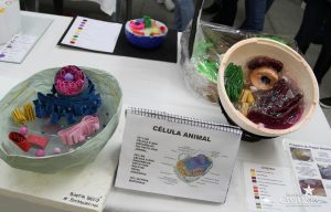 guarapuava, faculdade, campo real, exposição, célula animal, célula vegetal