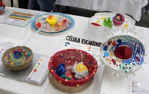 guarapuava, faculdade, campo real, exposição, célula animal, célula vegetal