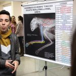 guarapuava faculdade campo real medicina veterinária diagnóstico por imagem anatomia veterinária