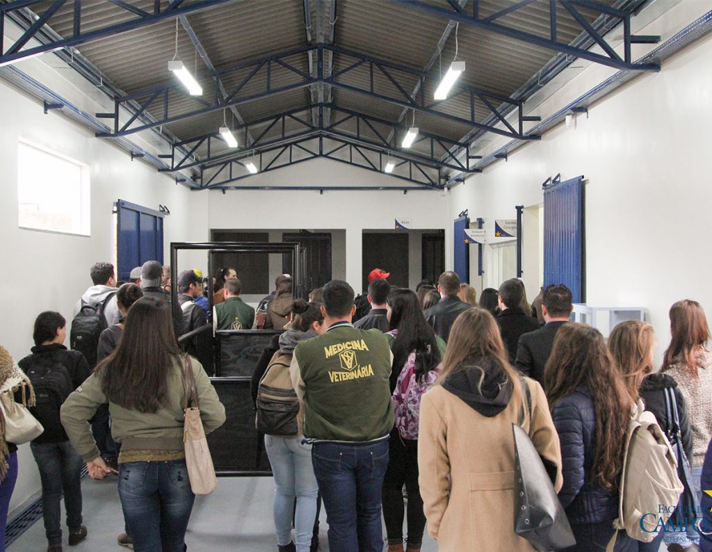 faculdade, guarapuava, medicina veterinária, campo real, departamento veterinário, grandes animais