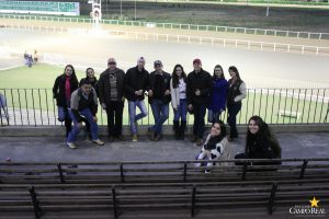 faculdade, guarapuava, campo real, medicina veterinária, jockey club do curitiba