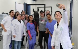 faculdade, guarapuava, medicina veterinária, campo real, departamento veterinário, grandes animais (6)