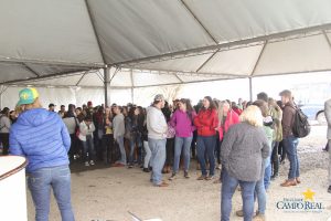faculdade, guarapuava, medicina veterinária, campo real, departamento veterinário, grandes animais