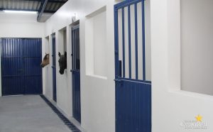 faculdade, guarapuava, medicina veterinária, campo real, departamento veterinário, grandes animais (6)