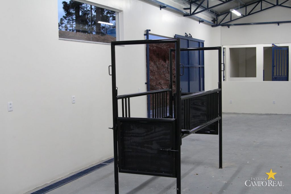 faculdade, guarapuava, medicina veterinária, campo real, departamento veterinário, grandes animais (6)