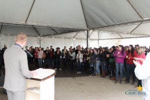 faculdade, guarapuava, medicina veterinária, campo real, departamento veterinário, grandes animais