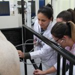 faculdade, guarapuava, medicina veterinária, campo real, departamento veterinário, grandes animais (6)