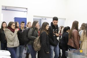 faculdade, guarapuava, medicina veterinária, campo real, departamento veterinário, grandes animais