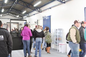 faculdade, guarapuava, medicina veterinária, campo real, departamento veterinário, grandes animais