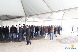 faculdade, guarapuava, medicina veterinária, campo real, departamento veterinário, grandes animais