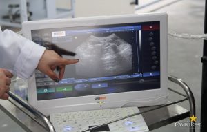 faculdade, guarapuava, medicina veterinária, campo real, departamento veterinário, grandes animais (6)