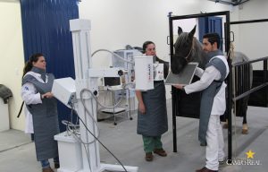 faculdade, guarapuava, medicina veterinária, campo real, departamento veterinário, grandes animais (6)