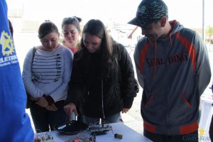 festival da matemática, ponta grossa, faculdade, campo real, guarapuava