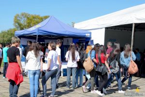 festival da matemática, ponta grossa, faculdade, campo real, guarapuava