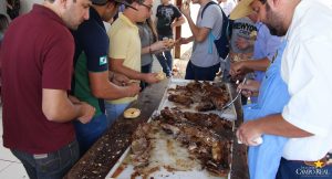 faculdade, campo real, guarapuava, costelada, medicina veterinária