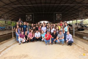 guarapuava, faculdade, campo real, medicina veterinária