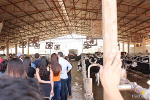 guarapuava, faculdade, campo real, medicina veterinária