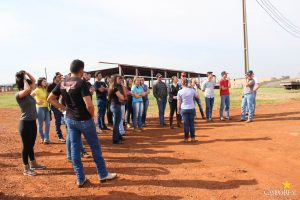 guarapuava, faculdade, campo real, medicina veterinária