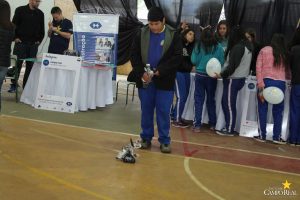 Mostra de Profissões