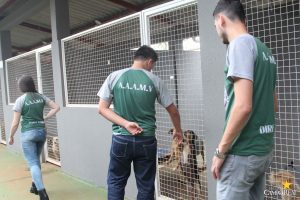 Projeto Social CãoPanha Fome Zero