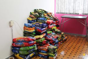 Projeto Social CãoPanha Fome Zero