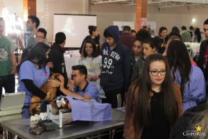 mostra de profissões, faculdade campo real, guarapuava