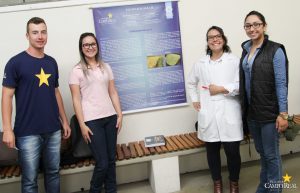 Estudo de Caso - Doenças de Culturas de Interesse Econômico