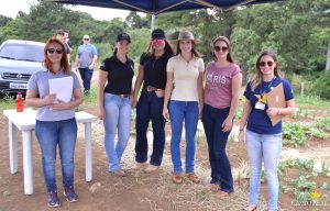 dia de campo, olericultura, guarapuava, campo real, engenharia agronômica