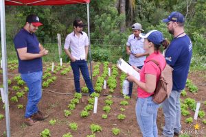 dia de campo, olericultura, guarapuava, campo real, engenharia agronômica