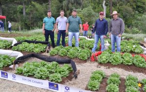 dia de campo, olericultura, guarapuava, campo real, engenharia agronômica