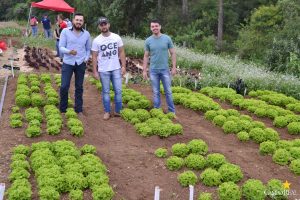 dia de campo, olericultura, guarapuava, campo real, engenharia agronômica