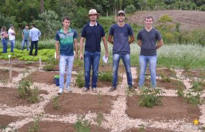 dia de campo, olericultura, guarapuava, campo real, engenharia agronômica